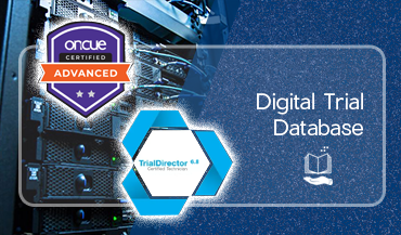 Verdicts: image of lady justice statue